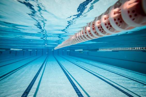 Open Swim