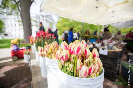 Dane County Farmer's Market