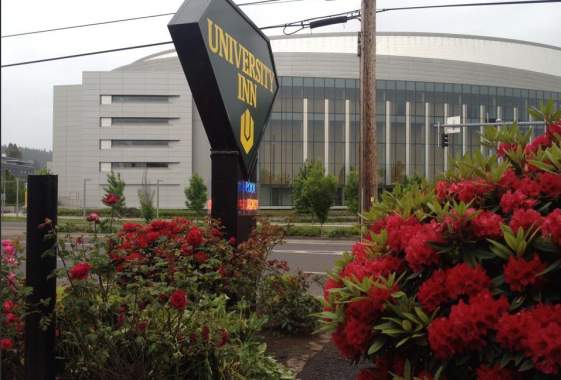 University Inn & Suites
