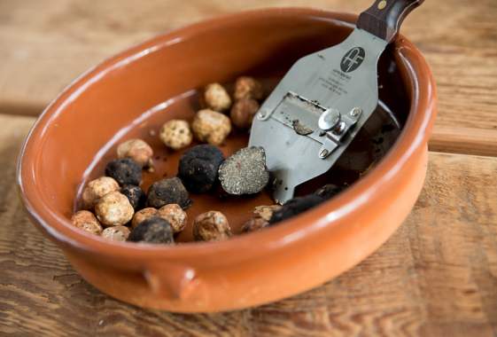 Oregon Truffle Festival