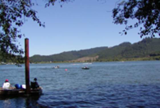 Triangle Lake