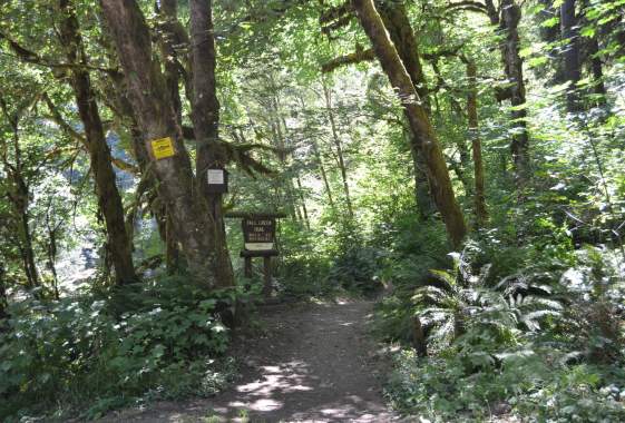 Fall Creek National Recreation Trail