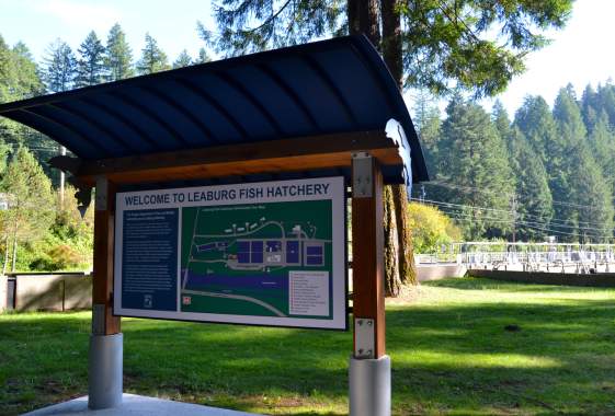 Leaburg Fish Hatchery