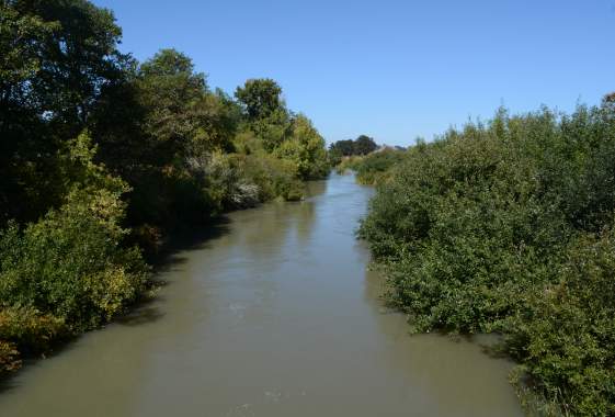 Long Tom River