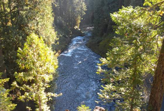 McKenzie River
