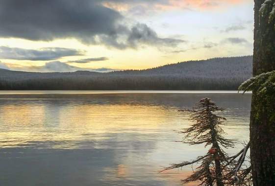 Waldo Lake