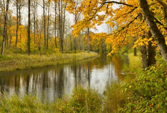 Best Bets For Colorful Fall Hikes