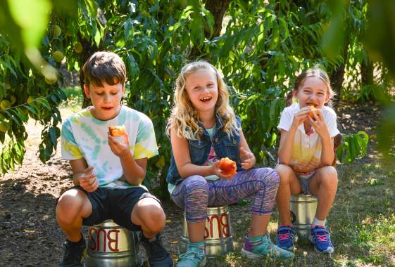 Family Friendly Farms Tour