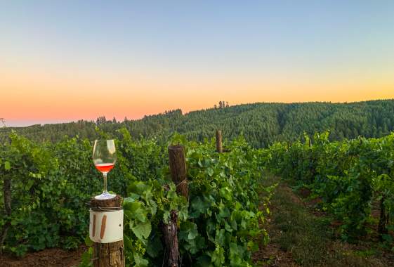 Junction City Wine Country