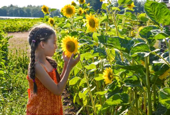 Plan Your Garden