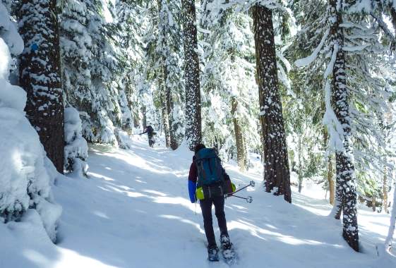Top Things to Do in Winter