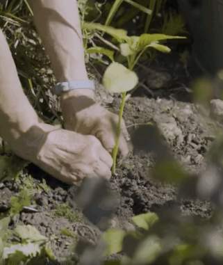 Community Film Screening