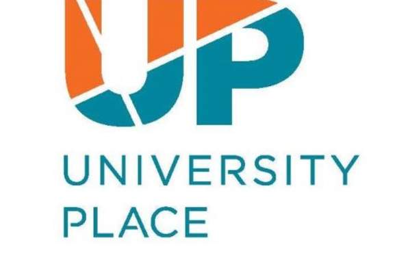 2025 Christmas Lights in The Orchard