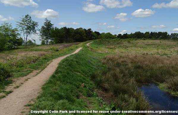 Cannock Chase Walk - Castle Ring