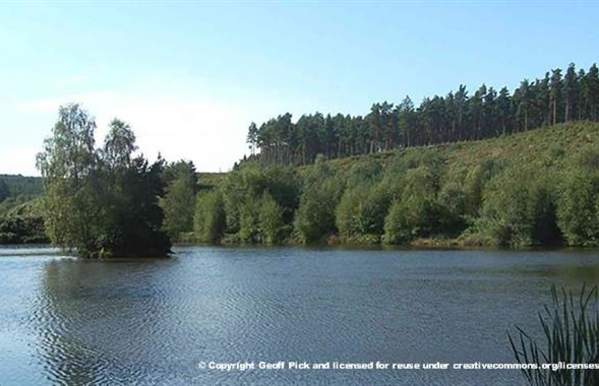 Cannock Chase Walk - Fairoak Pools