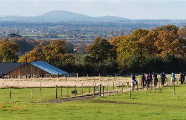 Cannock Chase Trekking Centre