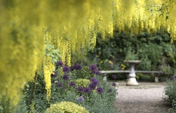 Dorothy Clive Garden