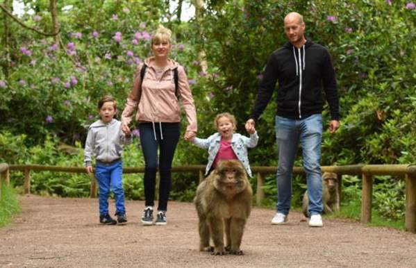 Trentham Monkey Forest