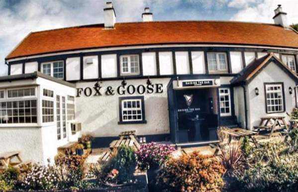 Fox and Goose