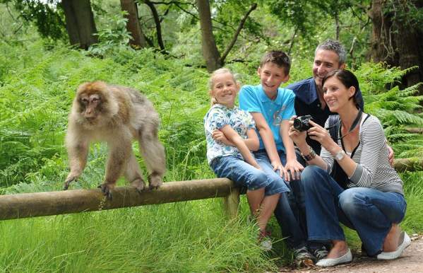 Breakfast with the Monkeys at Monkey Forest