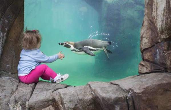 Peak Wildlife Park