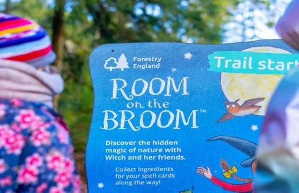 Room on the Broom trail at Cannock Chase