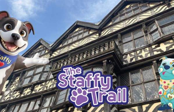 The Staffy Trail - Stafford