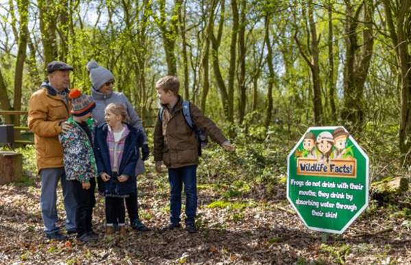 May Half-Term Holiday Fun!