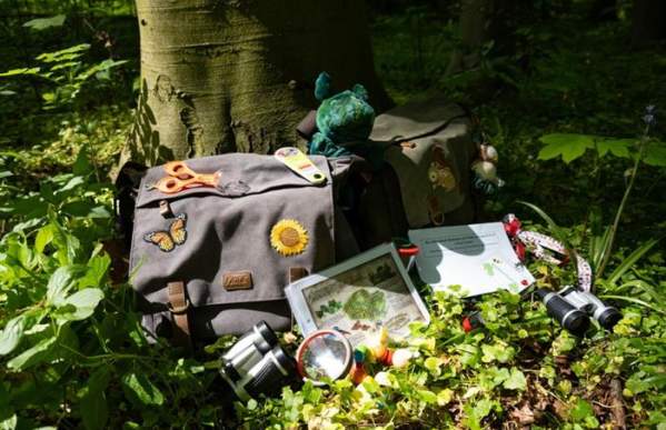 Explorer Backpacks