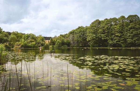 Baggeridge Country Park