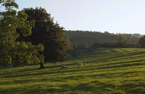 Ilam Park