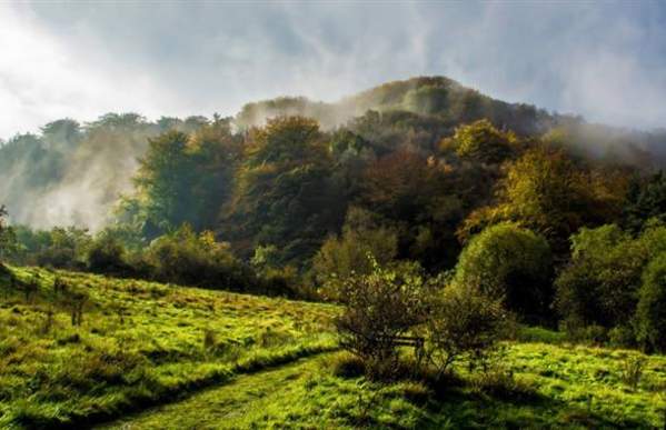 RSPB Coombes Valley and Consall Woods