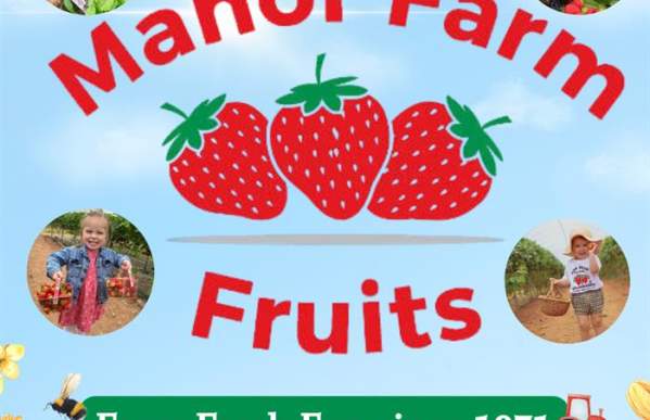 Pick Your Own Strawberries