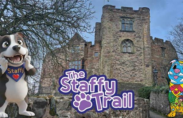 The Staffy Trail - Tamworth