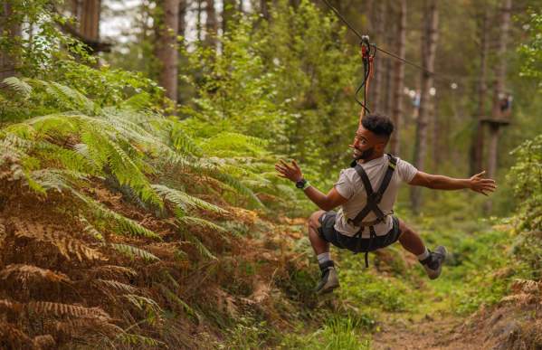 Go Ape Cannock Chase