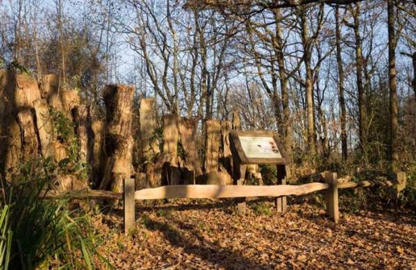 Warnham Local Nature Reserve