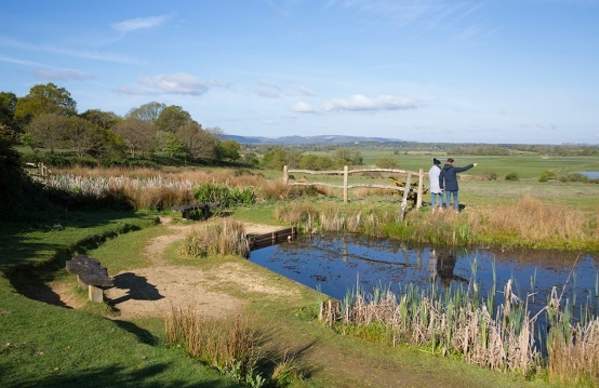 RSPB Pulborough Brooks Nature Reserve