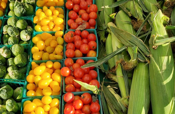 29 Palms Farmers Market