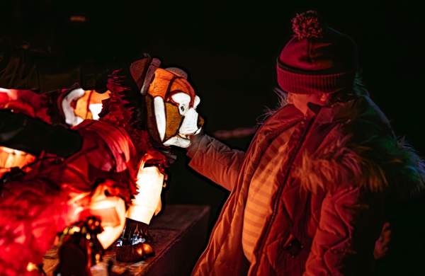 Lanterns and Light at Chester Zoo 2026