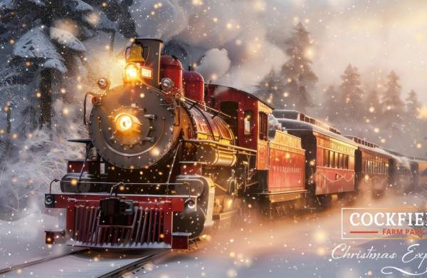 Cockfields Christmas Experience