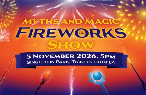 Swansea Council Fireworks Display