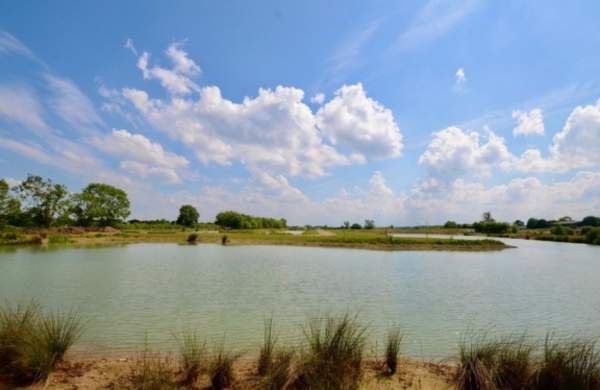 Hanworth Country Park