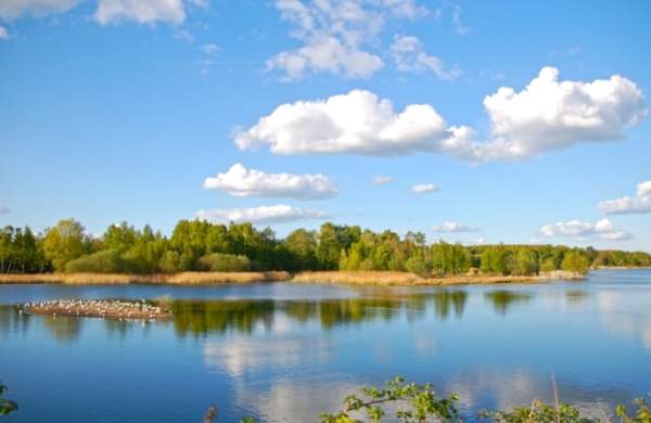 Whisby Nature Park