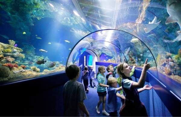 Bristol Aquarium