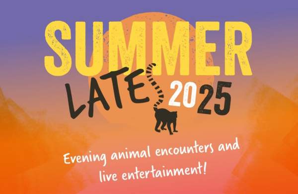 Summer Lates at Bristol Zoo Project