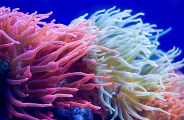 Even Calmer Days at Bristol Aquarium
