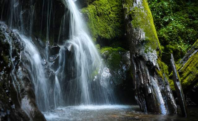 Trestle Creek Falls