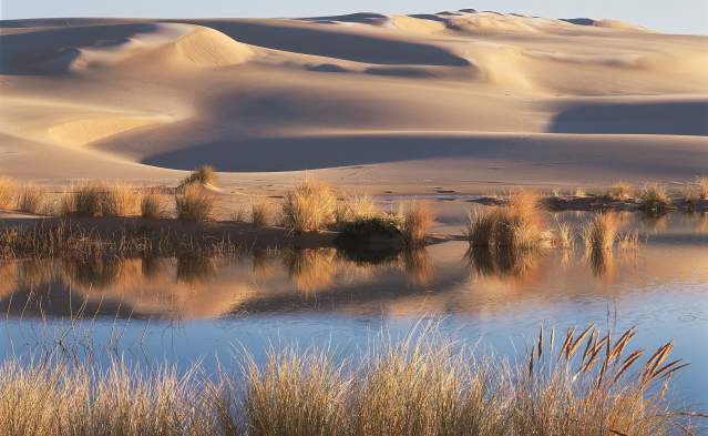 Four Ways to Explore Oregon's Sand Dunes