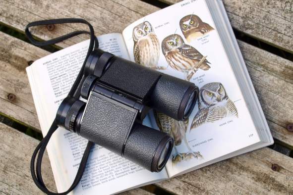 Birding Safari at Mead Wildlife Area