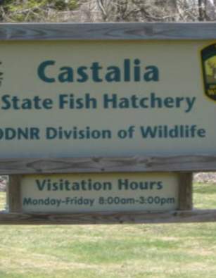 Castalia State Fish Hatchery Open House